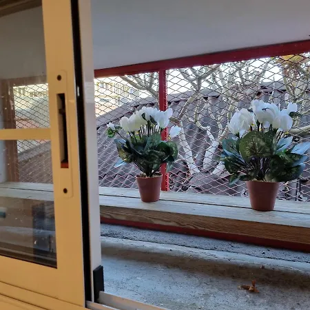 En El Casco Historico De Cruz Santa Cruz de Tenerife