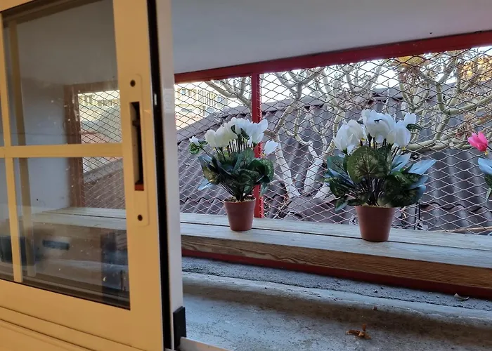 En El Casco Historico De Cruz Σάντα Κρουζ Τενερίφης