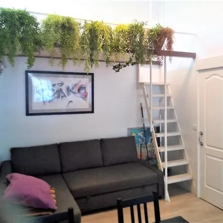 En El Casco Historico De Cruz * سانتا كروز دي تينيريف